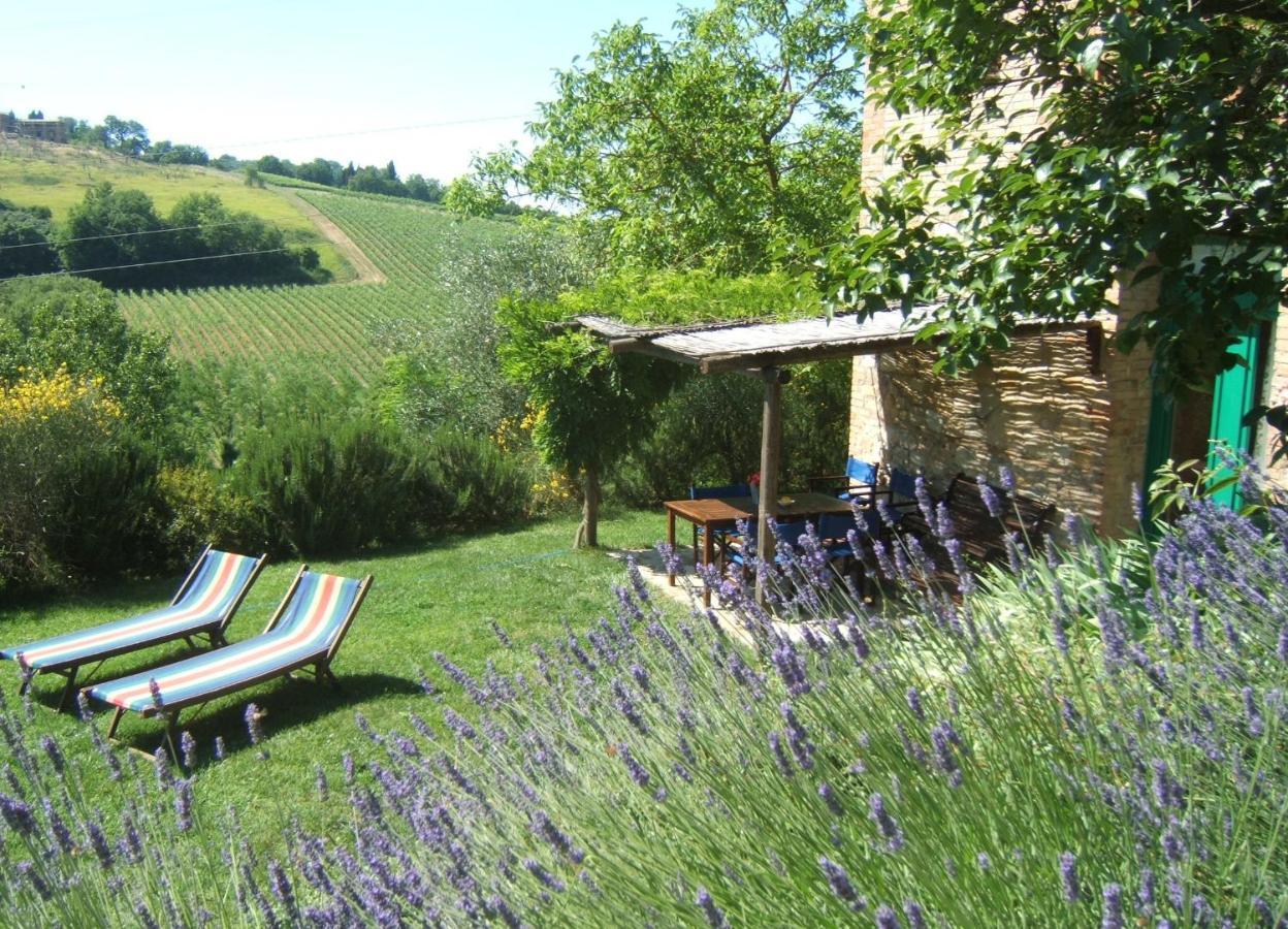Agriturismo & Winery Il Bacio Tavarnelle Val di Pesa Exterior photo