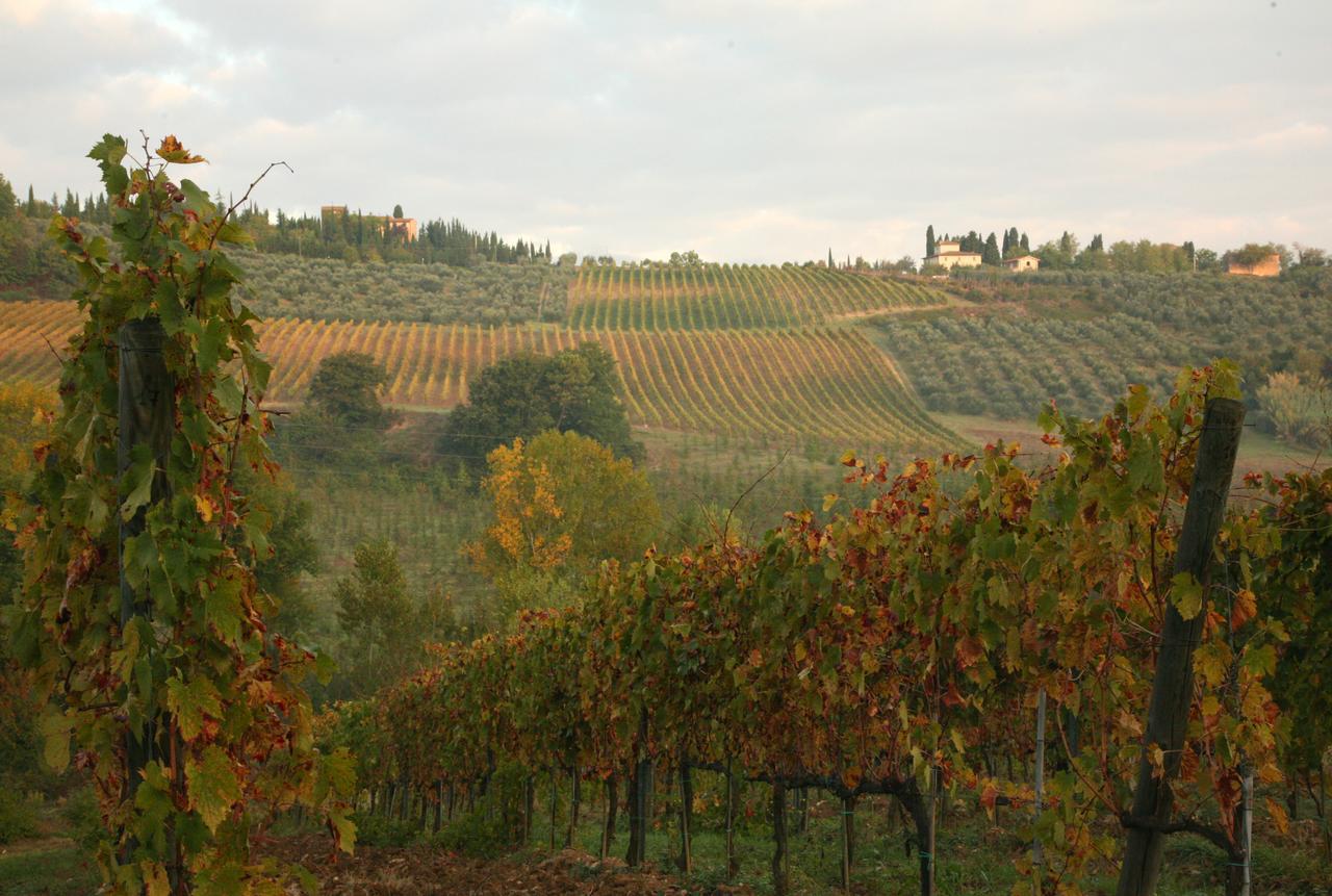 Agriturismo & Winery Il Bacio Tavarnelle Val di Pesa Exterior photo